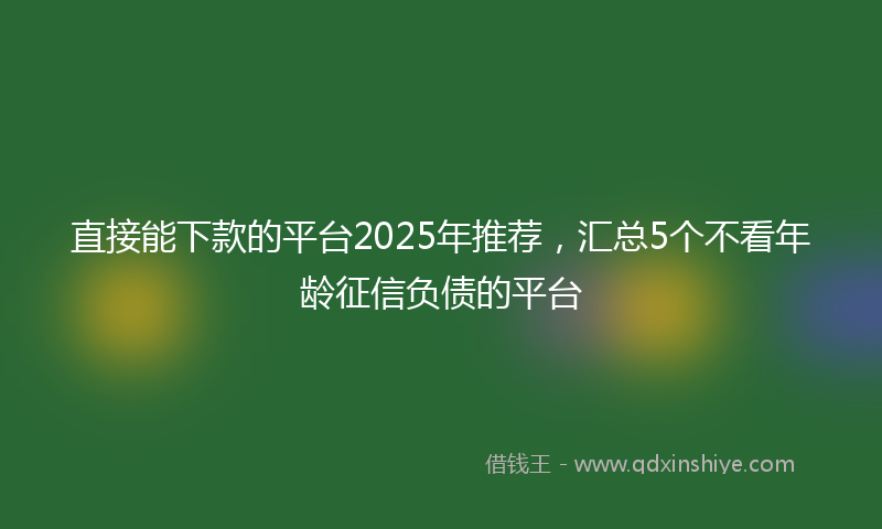 直接能下款的平台2025年推荐，汇总5个不看年龄征信负债的平台