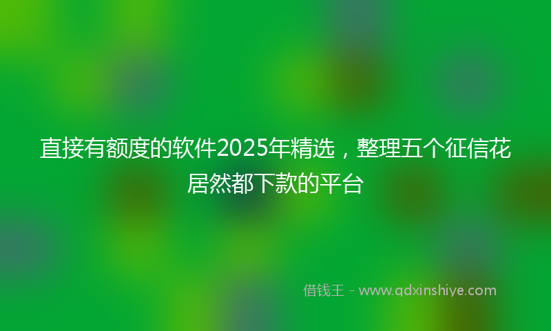 直接有额度的软件2025年精选，整理五个征信花居然都下款的平台