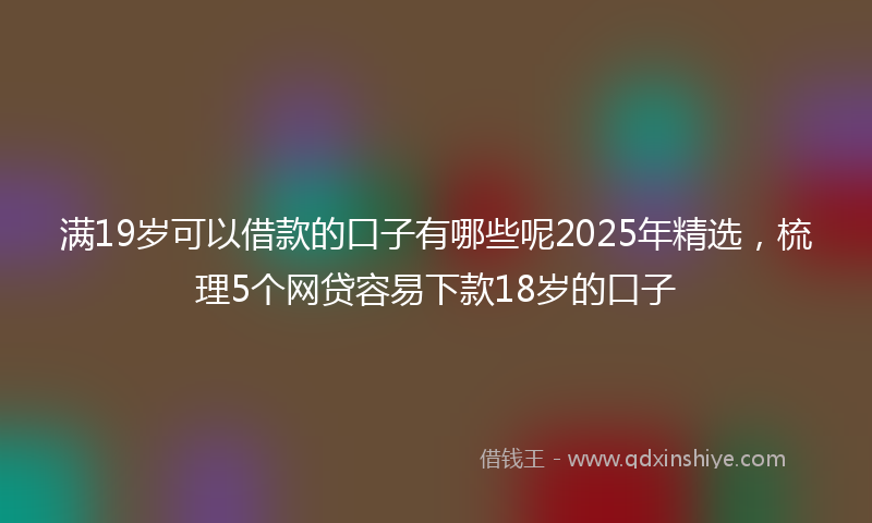 满19岁可以借款的口子有哪些呢2025年精选，梳理5个网贷容易下款18岁的口子
