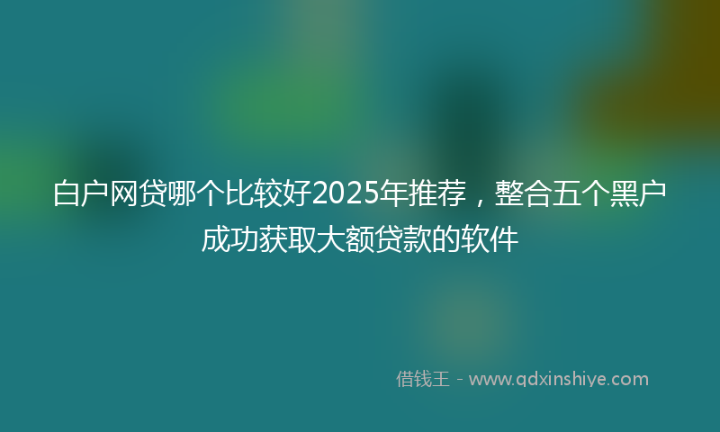 白户网贷哪个比较好2025年推荐，整合五个黑户成功获取大额贷款的软件