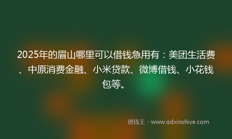 2025年的眉山哪里可以借钱急用有：美团生活费、中原消费金融、小米贷款、微博借钱、小花钱包等。