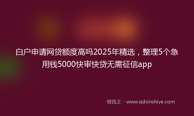 白户申请网贷额度高吗2025年精选，整理5个急用钱5000快审快贷无需征信app