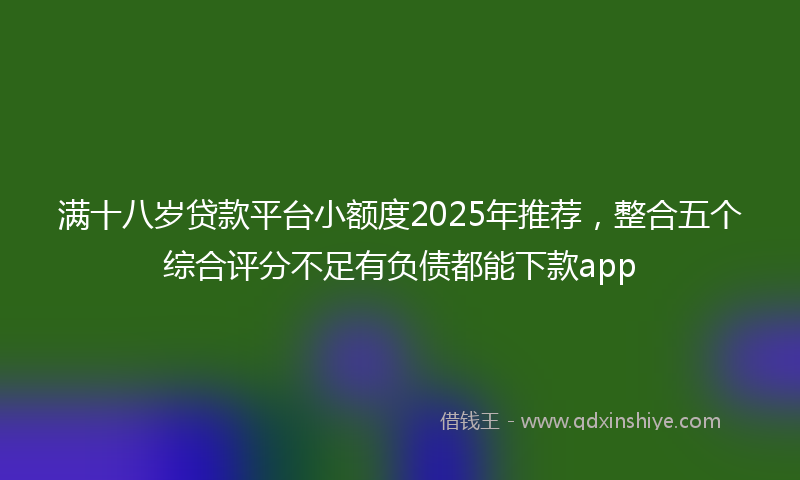 满十八岁贷款平台小额度2025年推荐，整合五个综合评分不足有负债都能下款app