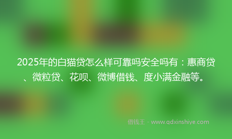 2025年的白猫贷怎么样可靠吗安全吗有：惠商贷、微粒贷、花呗、微博借钱、度小满金融等。