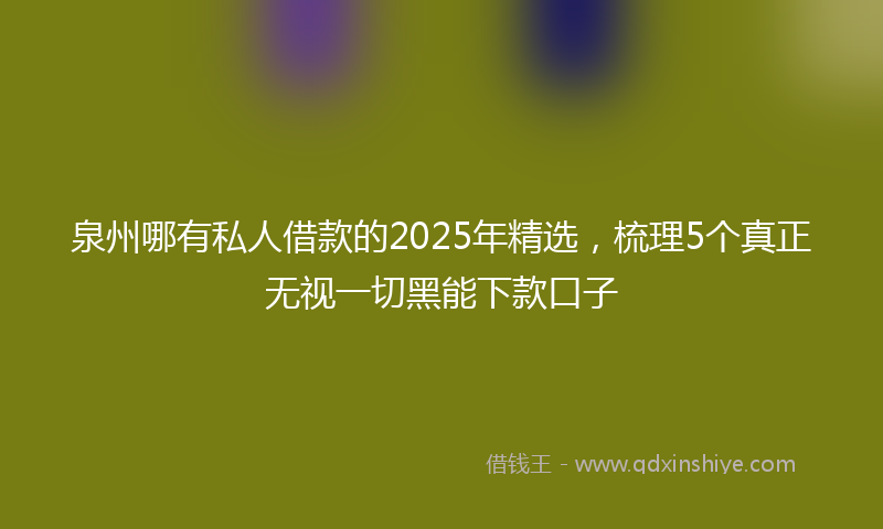 泉州哪有私人借款的2025年精选，梳理5个真正无视一切黑能下款口子