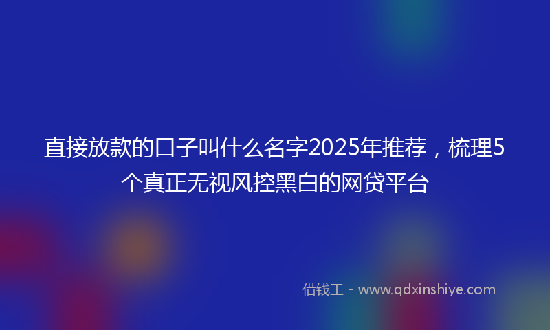直接放款的口子叫什么名字2025年推荐，梳理5个真正无视风控黑白的网贷平台