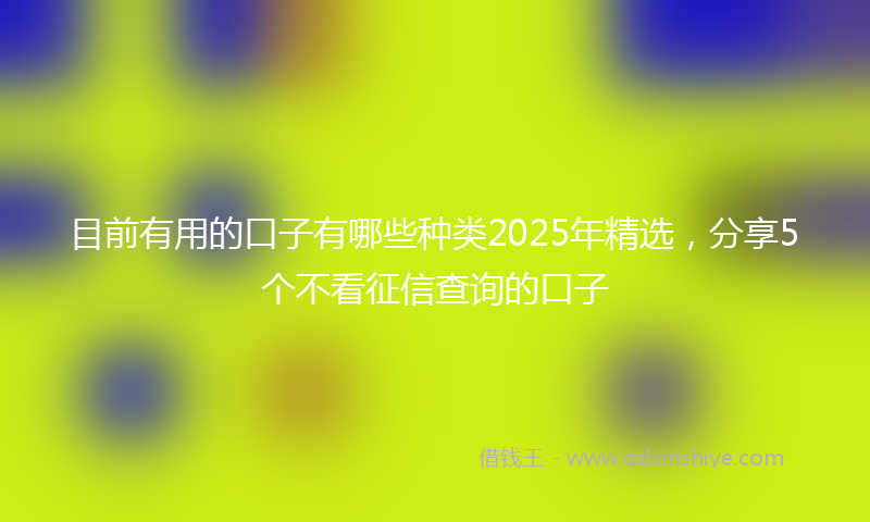 目前有用的口子有哪些种类2025年精选，分享5个不看征信查询的口子