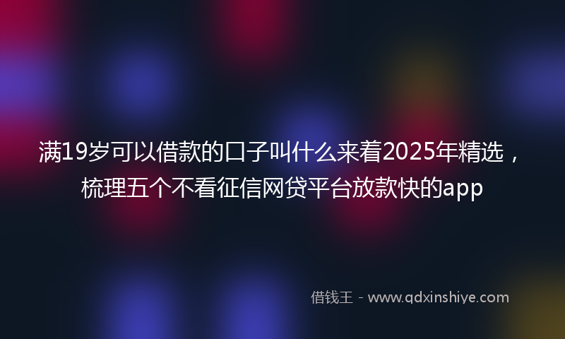 满19岁可以借款的口子叫什么来着2025年精选，梳理五个不看征信网贷平台放款快的app