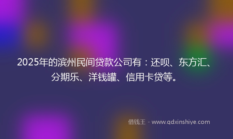 2025年的滨州民间贷款公司有：还呗、东方汇、分期乐、洋钱罐、信用卡贷等。