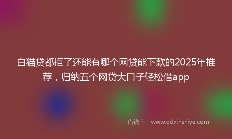 白猫贷都拒了还能有哪个网贷能下款的2025年推荐，归纳五个网贷大口子轻松借app