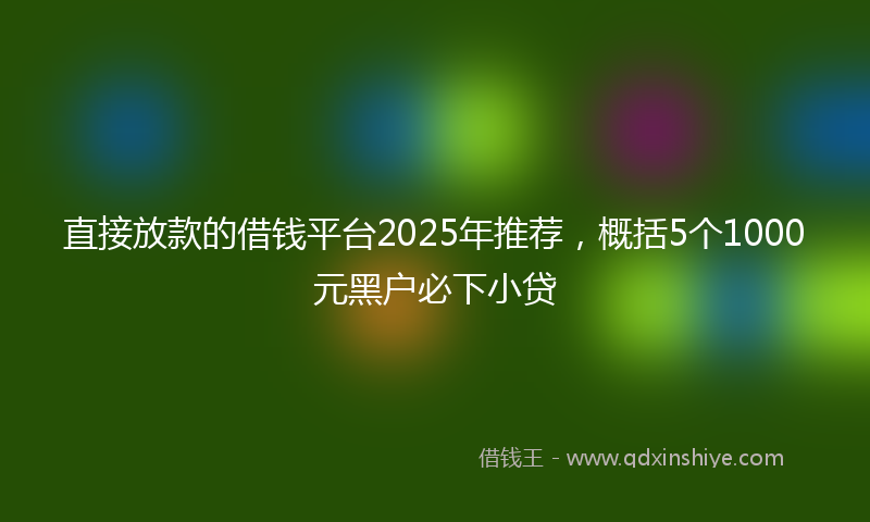 直接放款的借钱平台2025年推荐，概括5个1000元黑户必下小贷