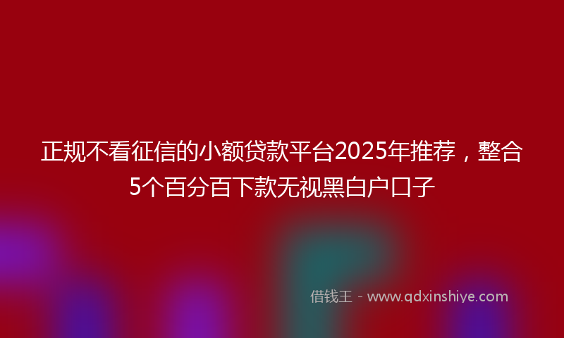 正规不看征信的小额贷款平台2025年推荐，整合5个百分百下款无视黑白户口子