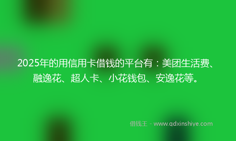 2025年的用信用卡借钱的平台有：美团生活费、融逸花、超人卡、小花钱包、安逸花等。