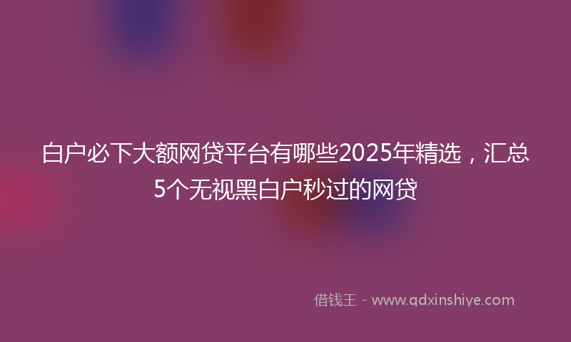 白户必下大额网贷平台有哪些2025年精选，汇总5个无视黑白户秒过的网贷