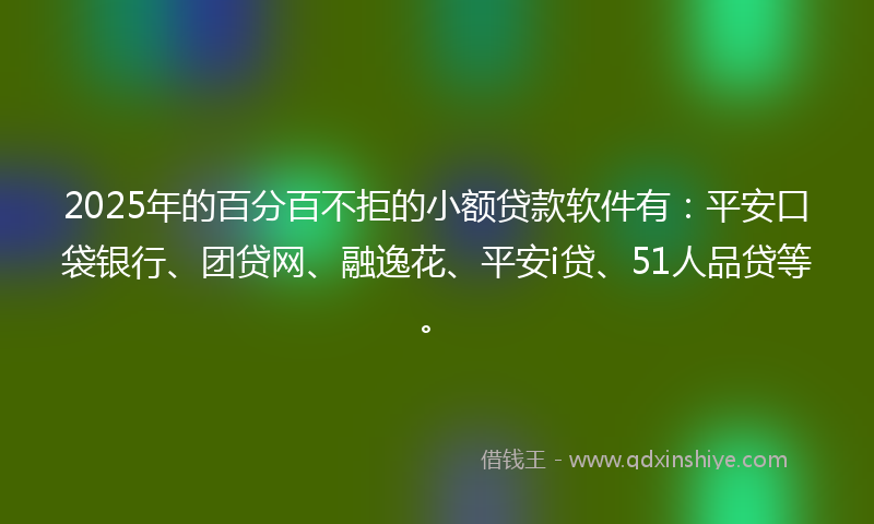 2025年的百分百不拒的小额贷款软件有：平安口袋银行、团贷网、融逸花、平安i贷、51人品贷等。
