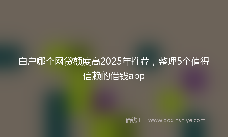 白户哪个网贷额度高2025年推荐，整理5个值得信赖的借钱app