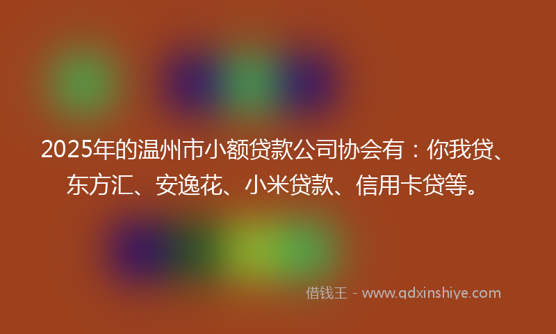 2025年的温州市小额贷款公司协会有：你我贷、东方汇、安逸花、小米贷款、信用卡贷等。
