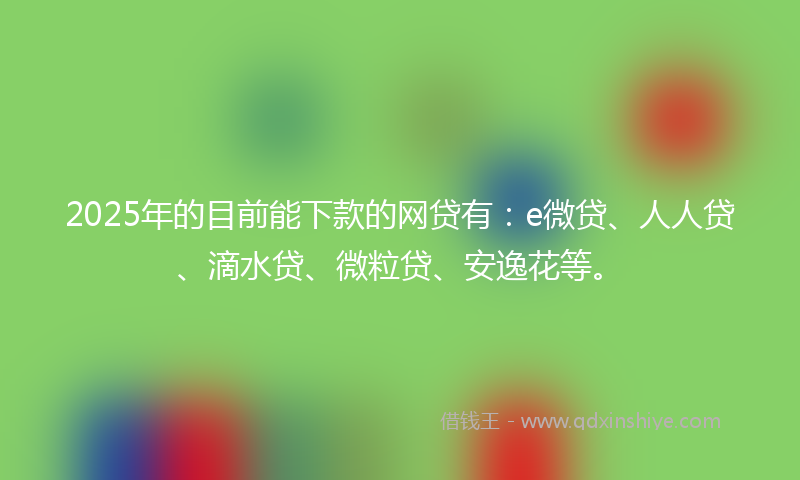 2025年的目前能下款的网贷有：e微贷、人人贷、滴水贷、微粒贷、安逸花等。
