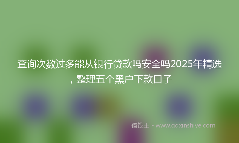 查询次数过多能从银行贷款吗安全吗2025年精选，整理五个黑户下款口子