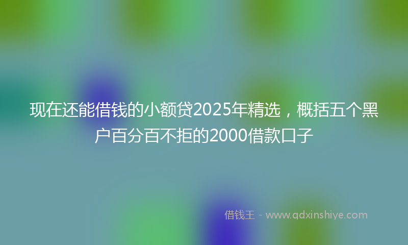 现在还能借钱的小额贷2025年精选，概括五个黑户百分百不拒的2000借款口子