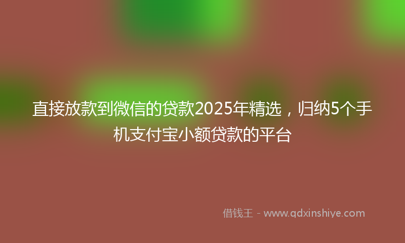 直接放款到微信的贷款2025年精选，归纳5个手机支付宝小额贷款的平台