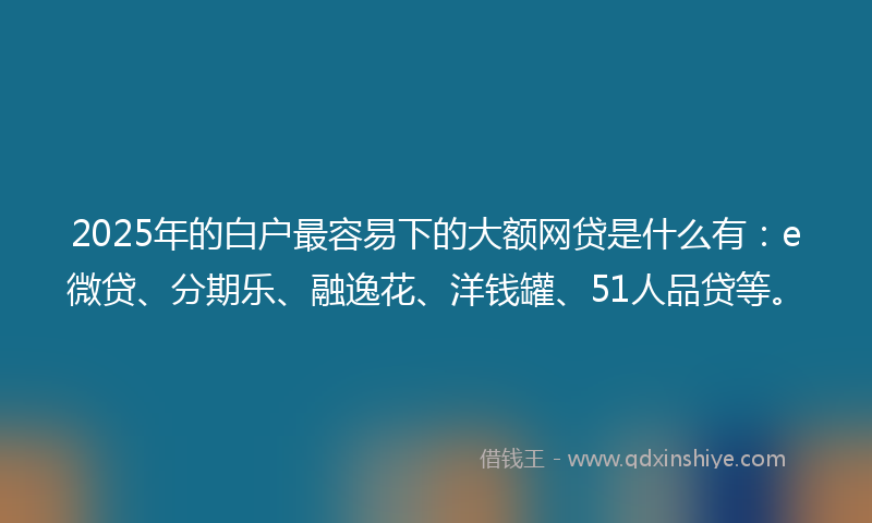 2025年的白户最容易下的大额网贷是什么有：e微贷、分期乐、融逸花、洋钱罐、51人品贷等。