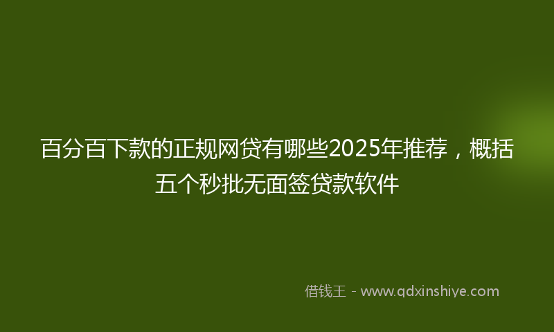 百分百下款的正规网贷有哪些2025年推荐，概括五个秒批无面签贷款软件