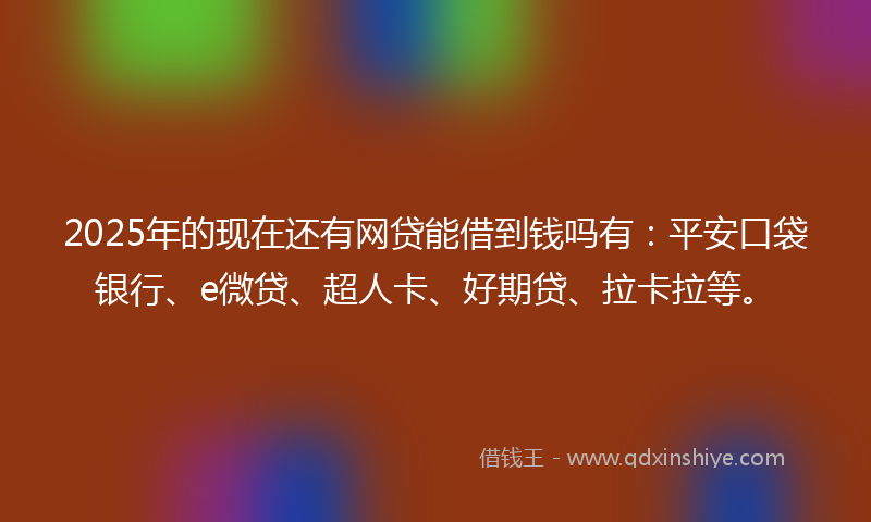 2025年的现在还有网贷能借到钱吗有：平安口袋银行、e微贷、超人卡、好期贷、拉卡拉等。