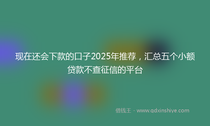 现在还会下款的口子2025年推荐，汇总五个小额贷款不查征信的平台