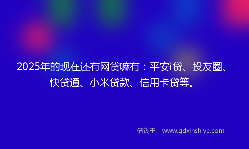 2025年的现在还有网贷嘛有：平安i贷、投友圈、快贷通、小米贷款、信用卡贷等。