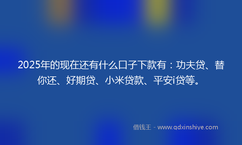 2025年的现在还有什么口子下款有：功夫贷、替你还、好期贷、小米贷款、平安i贷等。