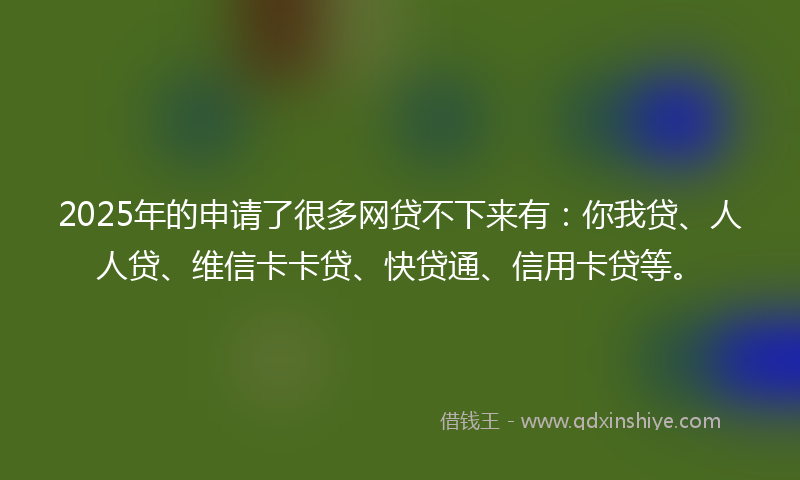 2025年的申请了很多网贷不下来有：你我贷、人人贷、维信卡卡贷、快贷通、信用卡贷等。