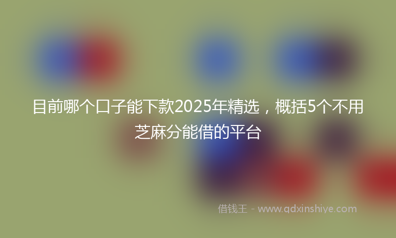 目前哪个口子能下款2025年精选，概括5个不用芝麻分能借的平台
