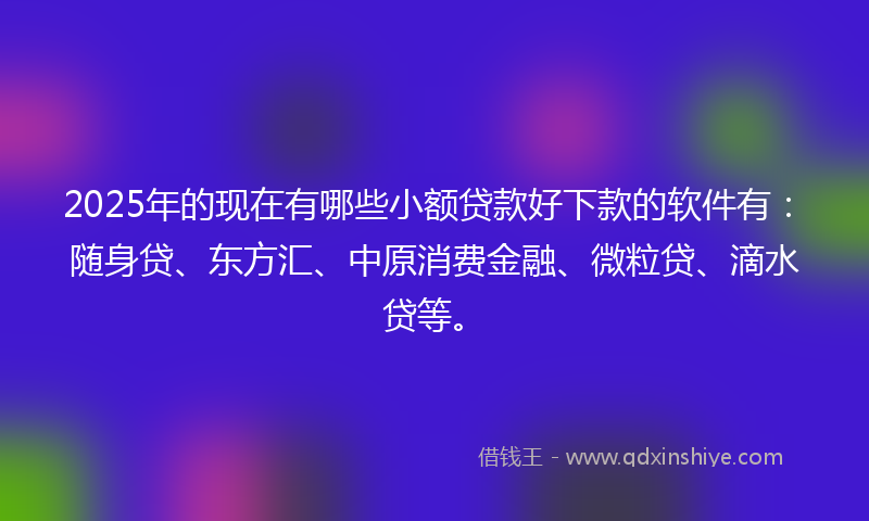 2025年的现在有哪些小额贷款好下款的软件有：随身贷、东方汇、中原消费金融、微粒贷、滴水贷等。