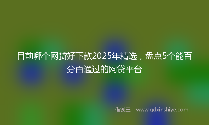目前哪个网贷好下款2025年精选，盘点5个能百分百通过的网贷平台