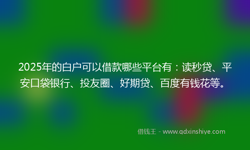 2025年的白户可以借款哪些平台有：读秒贷、平安口袋银行、投友圈、好期贷、百度有钱花等。