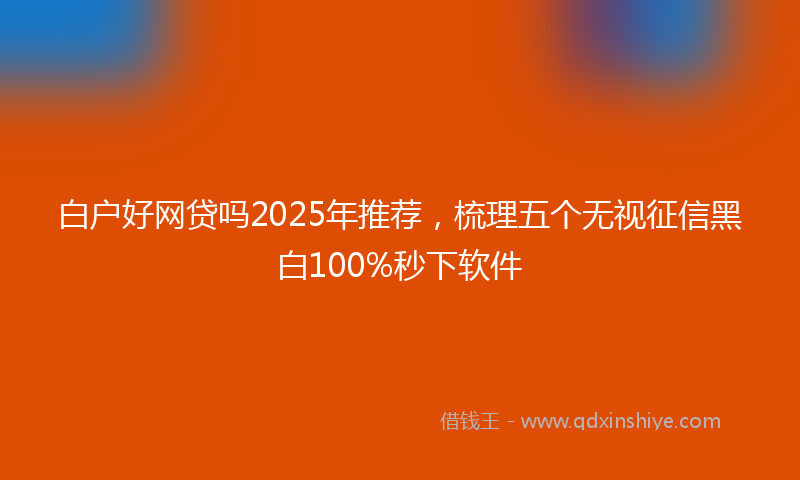 白户好网贷吗2025年推荐，梳理五个无视征信黑白100%秒下软件