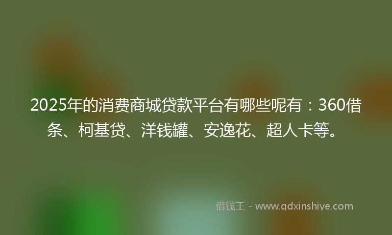 2025年的消费商城贷款平台有哪些呢有：360借条、柯基贷、洋钱罐、安逸花、超人卡等。