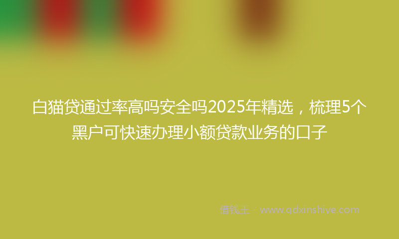 白猫贷通过率高吗安全吗2025年精选，梳理5个黑户可快速办理小额贷款业务的口子