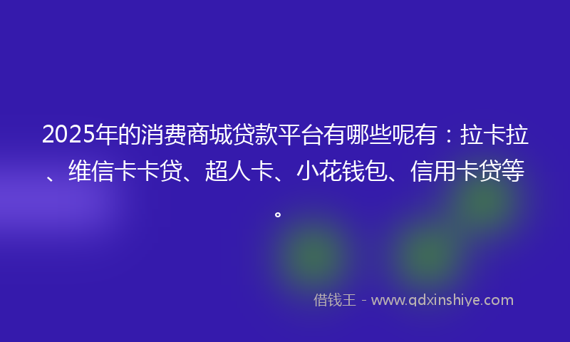 2025年的消费商城贷款平台有哪些呢有：拉卡拉、维信卡卡贷、超人卡、小花钱包、信用卡贷等。