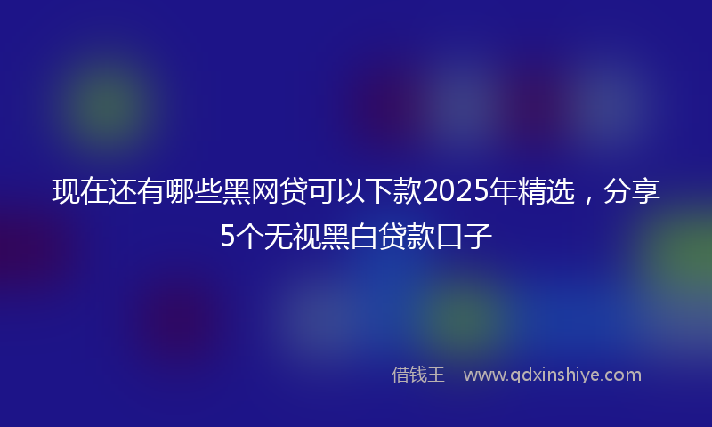 现在还有哪些黑网贷可以下款2025年精选，分享5个无视黑白贷款口子