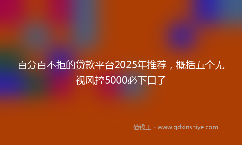 百分百不拒的贷款平台2025年推荐，概括五个无视风控5000必下口子