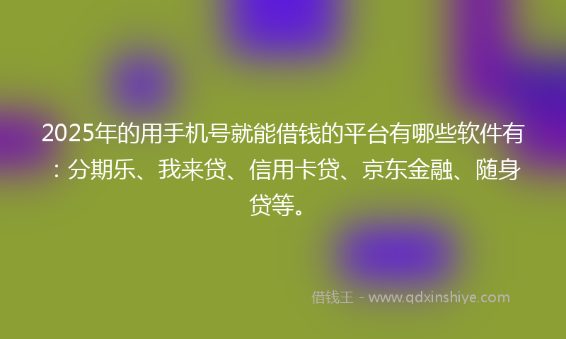 2025年的用手机号就能借钱的平台有哪些软件有：分期乐、我来贷、信用卡贷、京东金融、随身贷等。