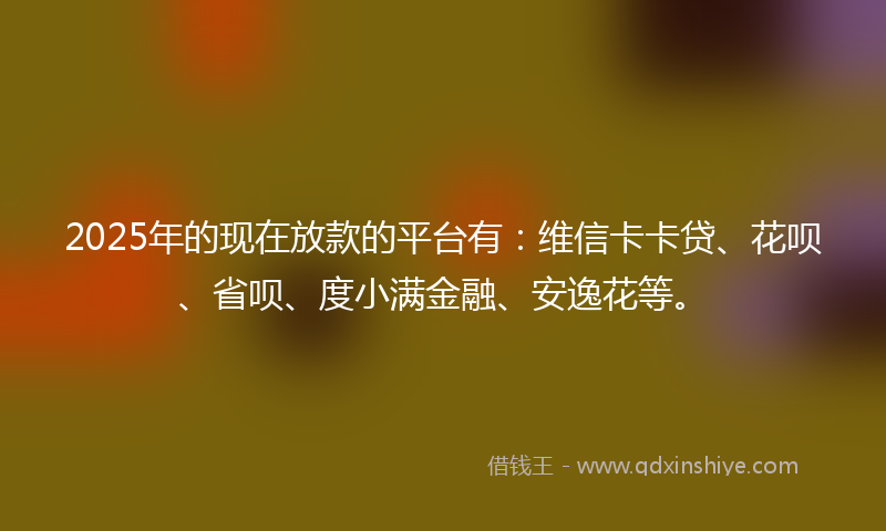 2025年的现在放款的平台有：维信卡卡贷、花呗、省呗、度小满金融、安逸花等。
