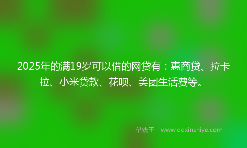 2025年的满19岁可以借的网贷有：惠商贷、拉卡拉、小米贷款、花呗、美团生活费等。