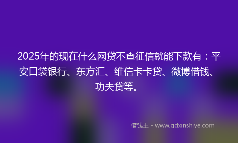2025年的现在什么网贷不查征信就能下款有：平安口袋银行、东方汇、维信卡卡贷、微博借钱、功夫贷等。