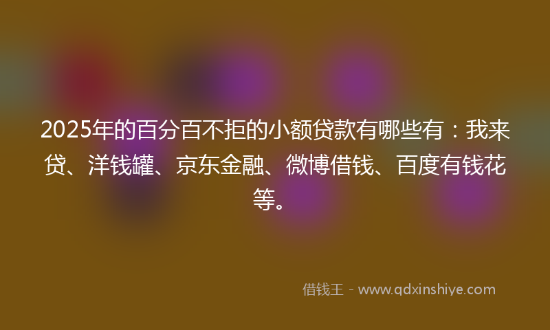 2025年的百分百不拒的小额贷款有哪些有：我来贷、洋钱罐、京东金融、微博借钱、百度有钱花等。