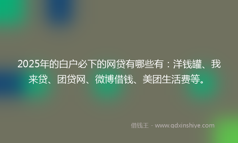 2025年的白户必下的网贷有哪些有：洋钱罐、我来贷、团贷网、微博借钱、美团生活费等。