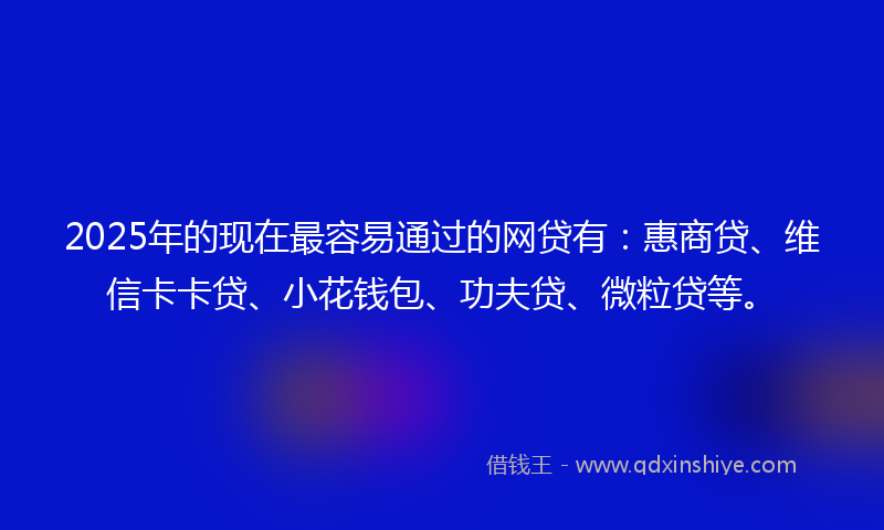 2025年的现在最容易通过的网贷有：惠商贷、维信卡卡贷、小花钱包、功夫贷、微粒贷等。