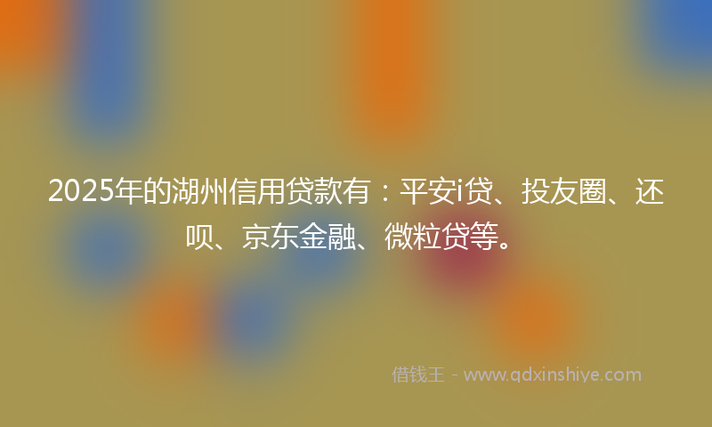 2025年的湖州信用贷款有：平安i贷、投友圈、还呗、京东金融、微粒贷等。